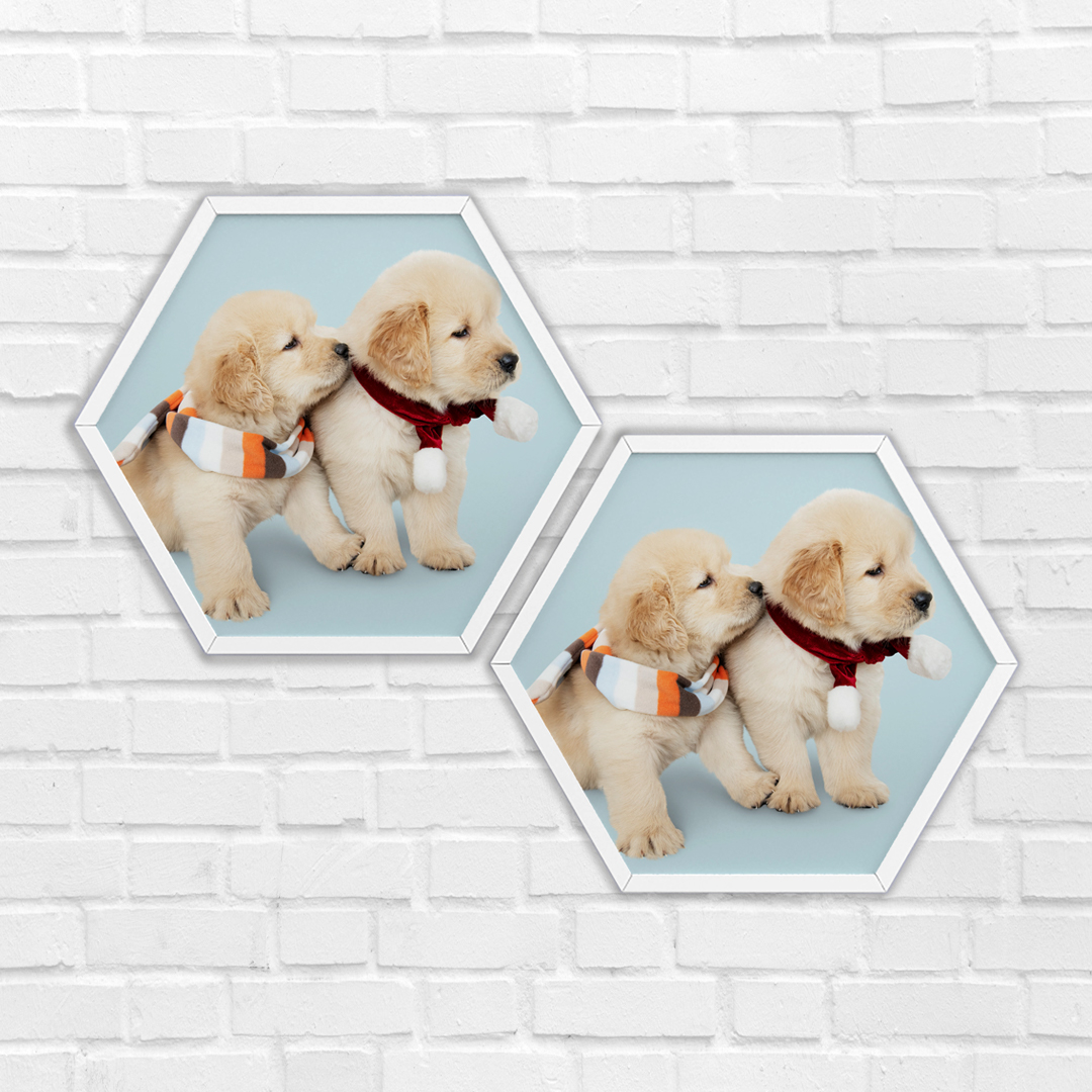 325414hexagon photo tiles.jpg